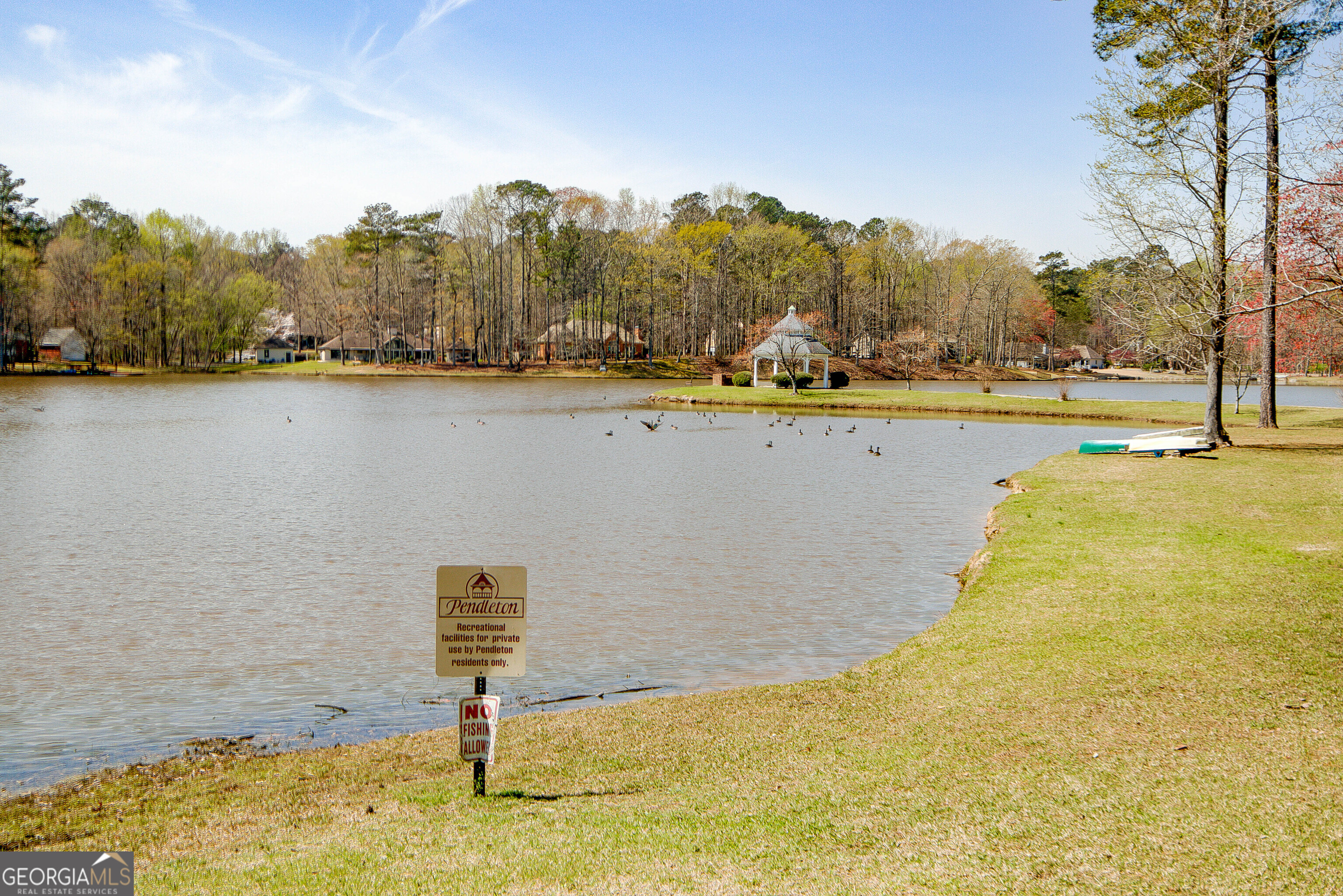 388 Swanson Road Tyrone, GA 30290 - Photo 61 of 62 a view of a swimming pool and trees in the background