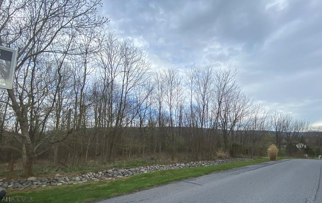 Lot 10 Mill Ridge Road Everett, PA 15537 - Photo 7 of 7 Gallery Image 7