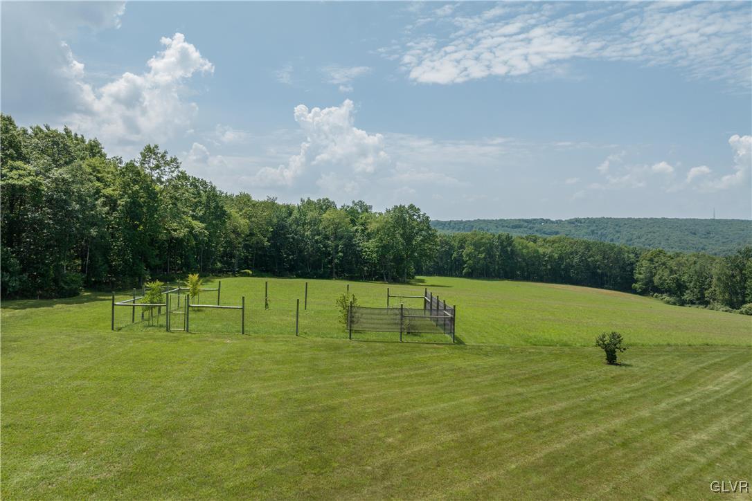 53 Airport Road Millville, PA 17846 - Photo 72 of 77 a view of swimming pool with a yard and trees
