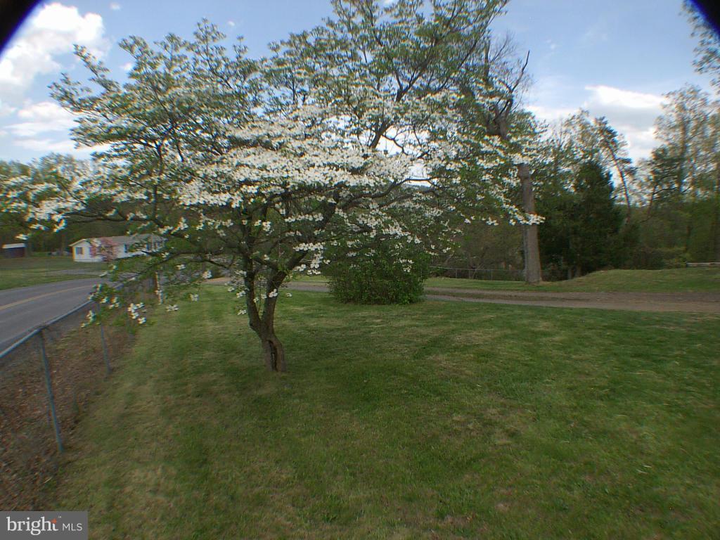 239 McDonald Road Winchester, VA 22602 - Photo 14 of 26 Exterior (General)
