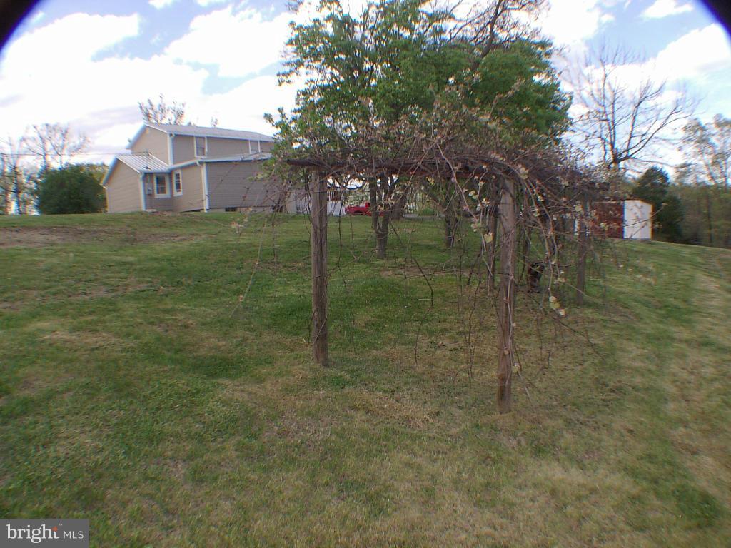 239 McDonald Road Winchester, VA 22602 - Photo 20 of 26 Grape arbor