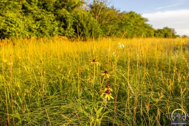 $734,604 | 448 700 Road, Alta Vista, KS 66834