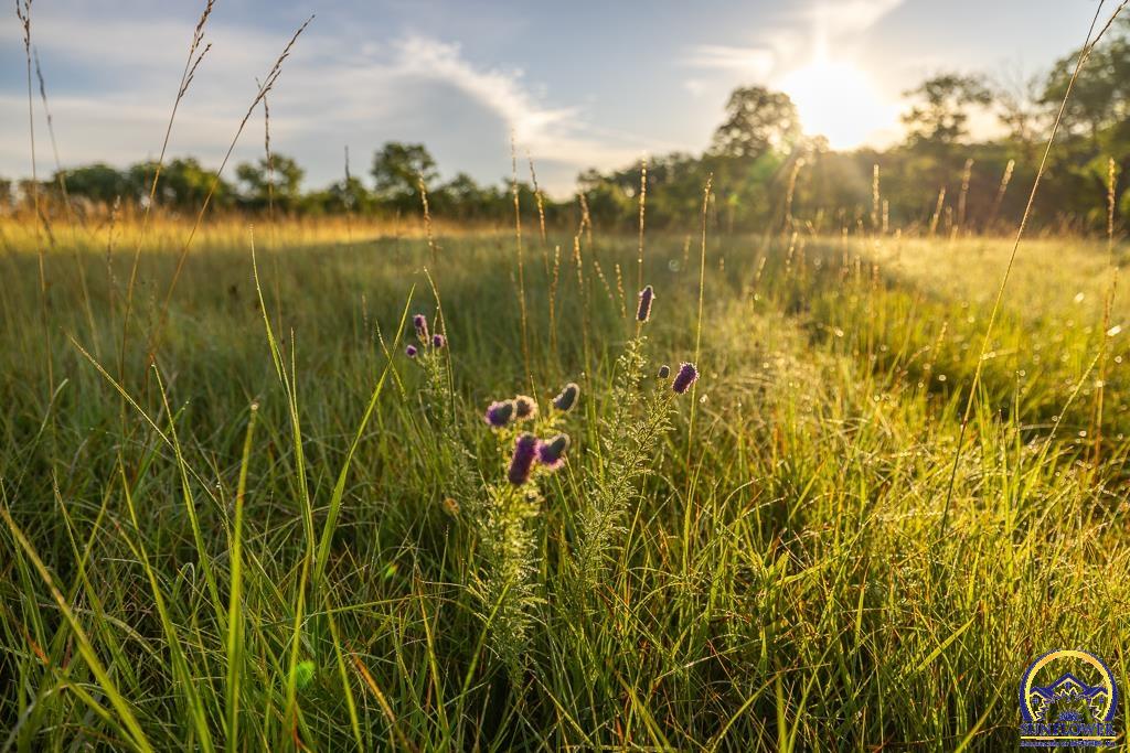 448 700 Road Alta Vista, KS 66834 - Photo 53 of 97