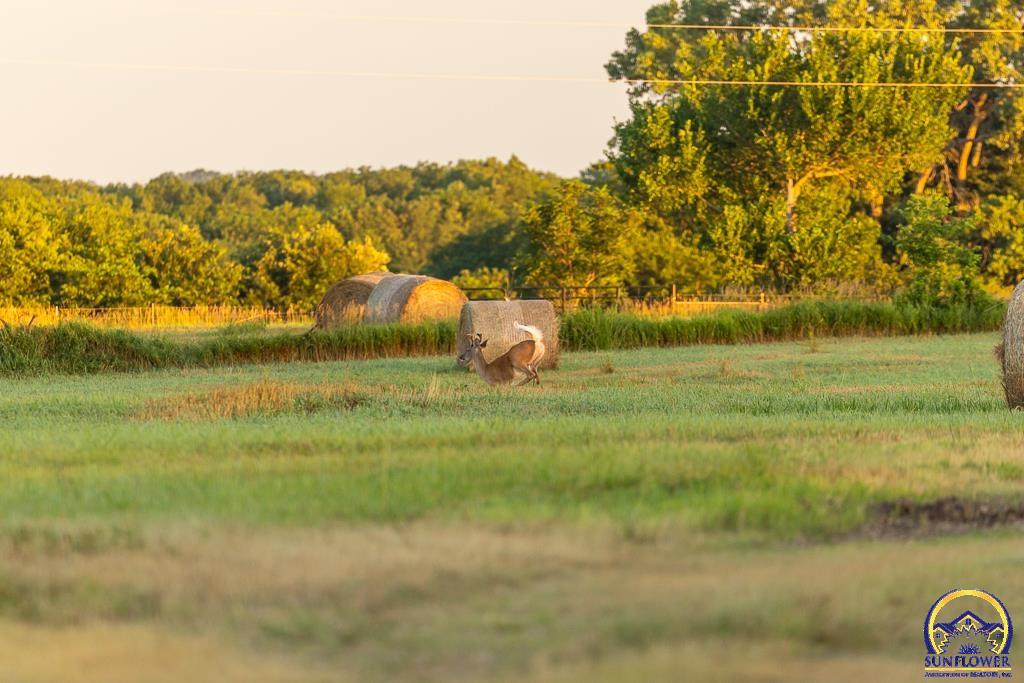 448 700 Road Alta Vista, KS 66834 - Photo 95 of 97