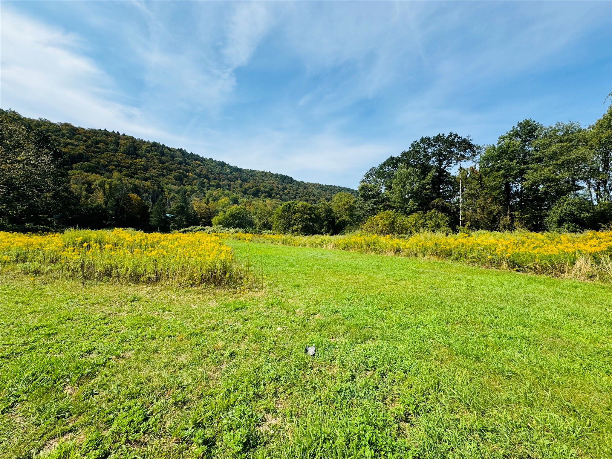 10-48 Evans Road Hancock, NY 13783 - Photo 19 of 26