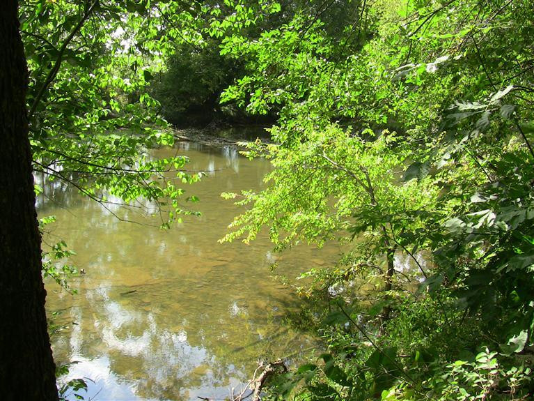 2000 Stamping Ground Road Georgetown, KY 40324 - Photo 17 of 33 Photo 17