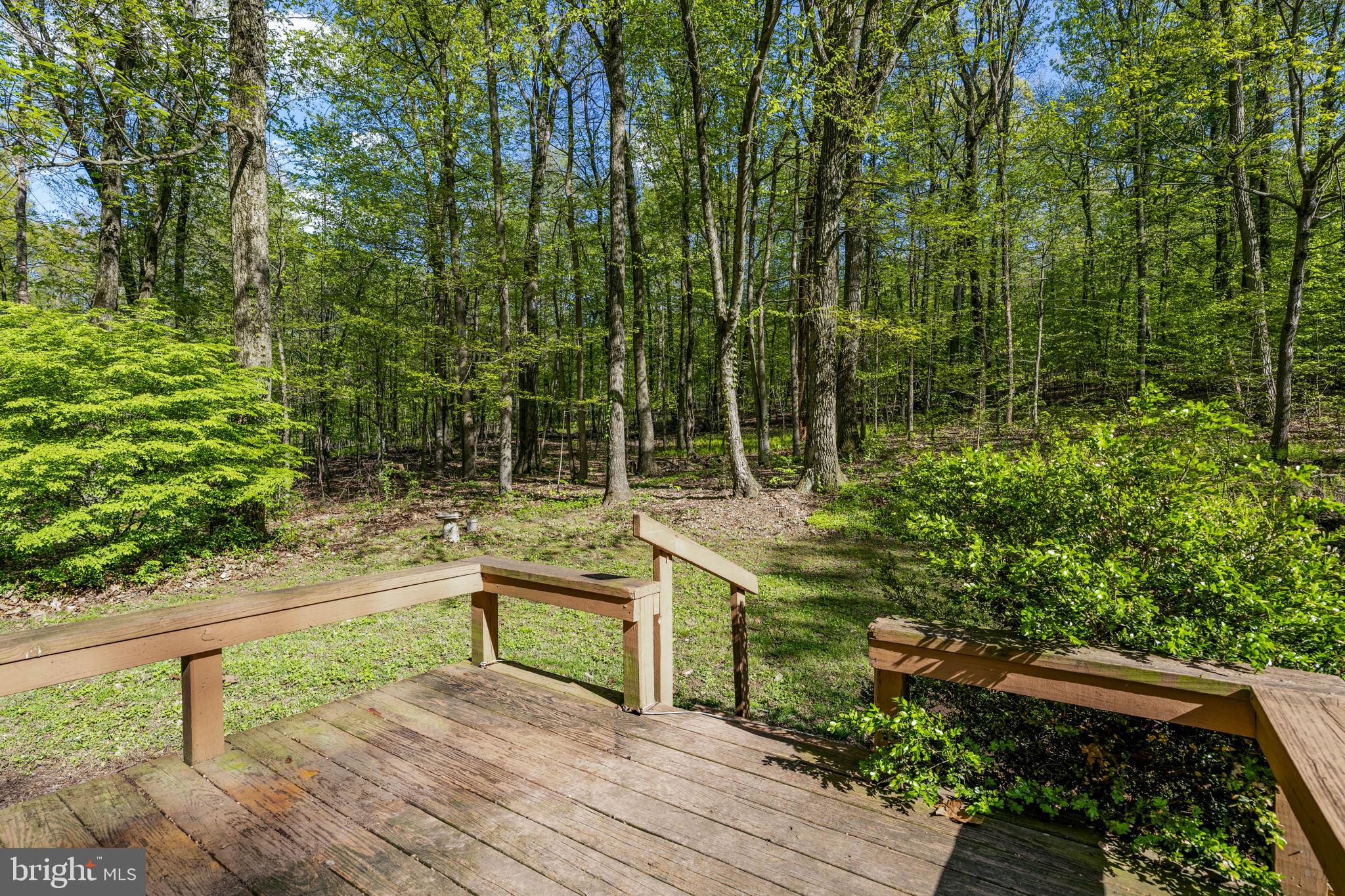 1528 Hilltop Road Mohnton, PA 19540 - Photo 7 of 19 a view of a bench in a garden