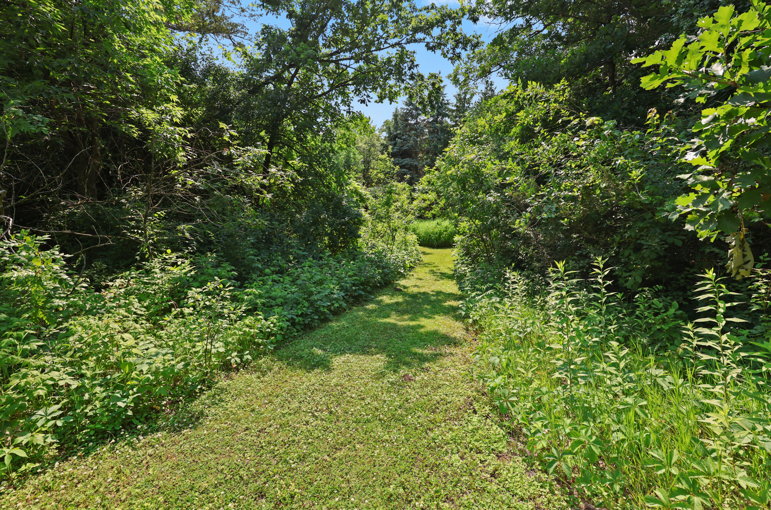 Tbd Rice Cliff Lane Northwest Rice, MN 56367 - Photo 13 of 16