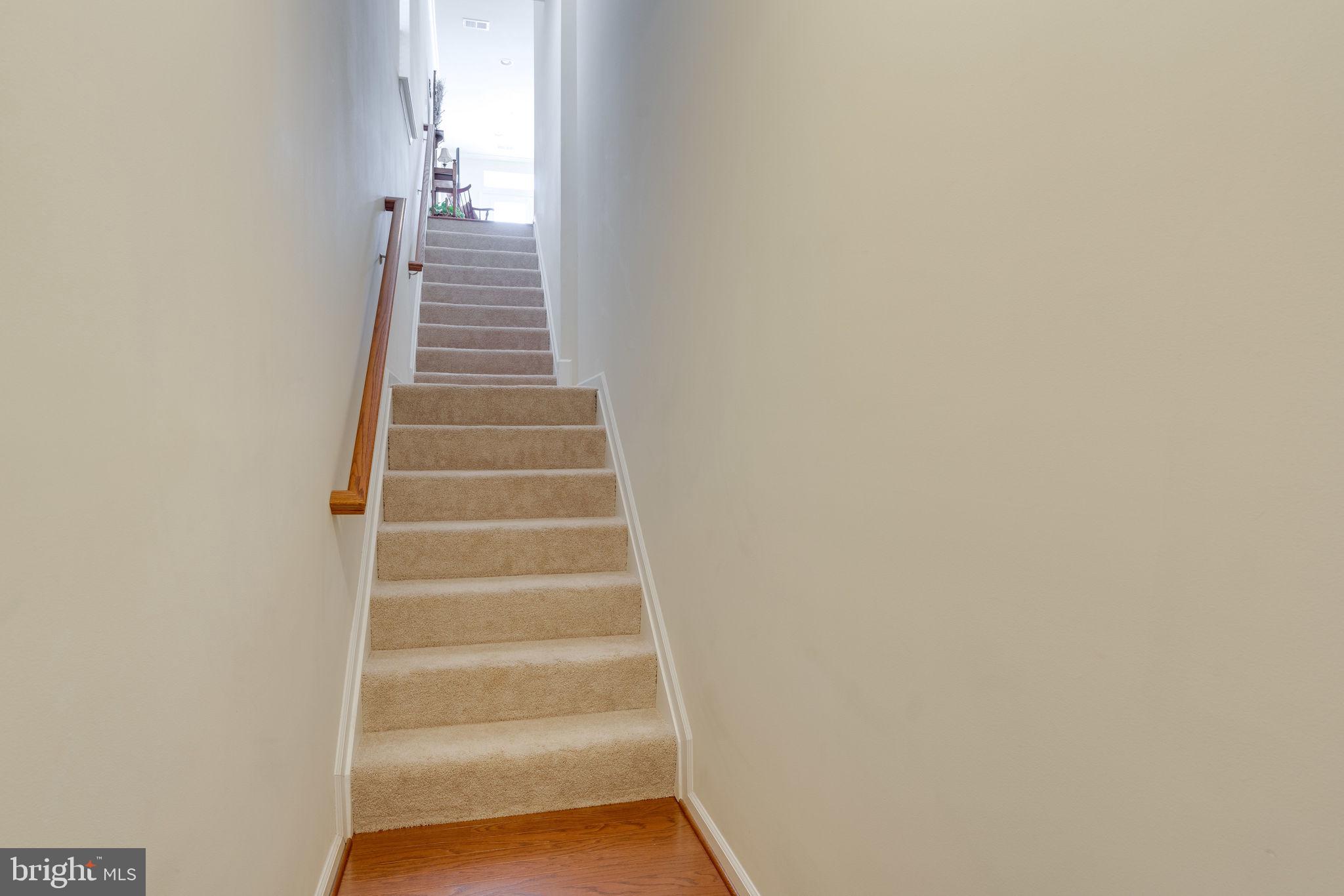 4740 Dane Ridge Circle, Unit 20 Woodbridge, VA 22193 - Photo 5 of 42 Lower lever / foyer!