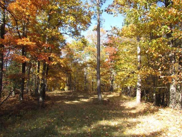 On On Buckatabon Road Eagle River, WI 54521 - Photo 15 of 15 Gallery Image 15