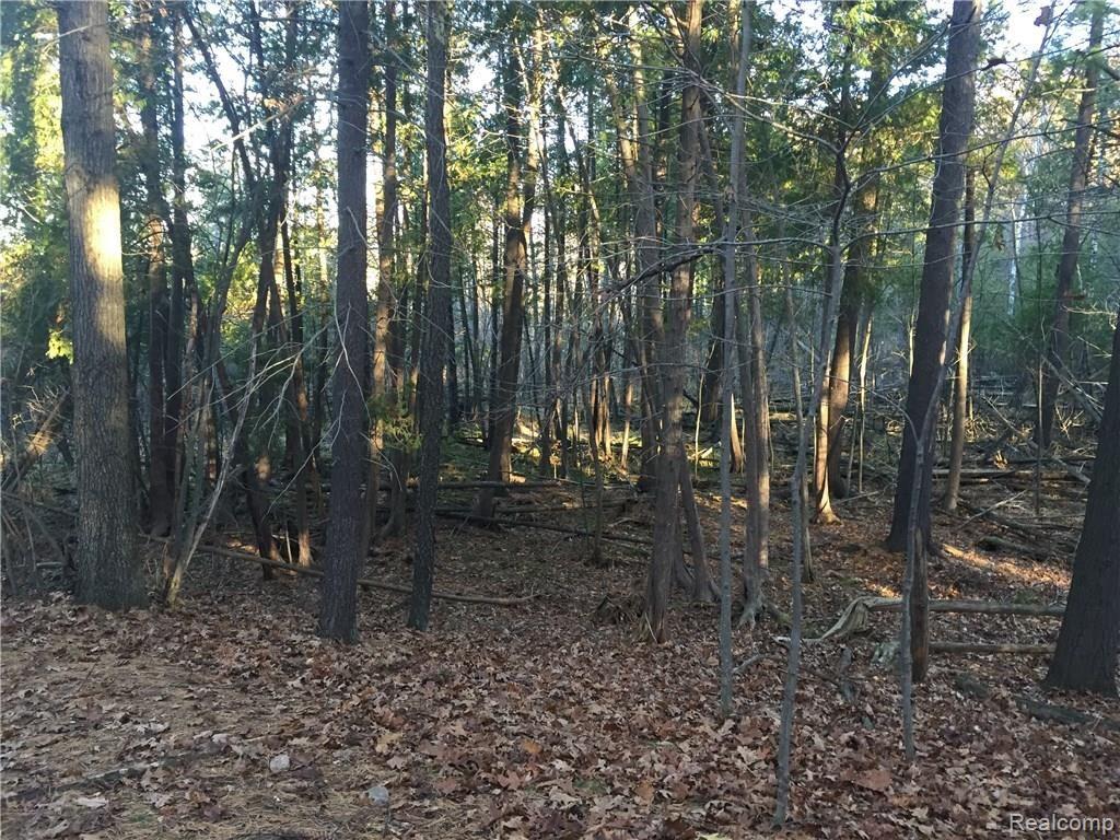 Vl Lake George Road Dryden, MI 48455 - Photo 17 of 23
