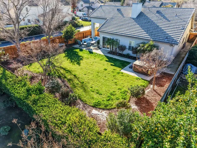 a view of a backyard with plants