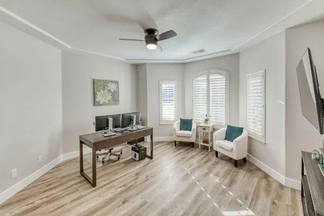 a living room with furniture and a potted plant