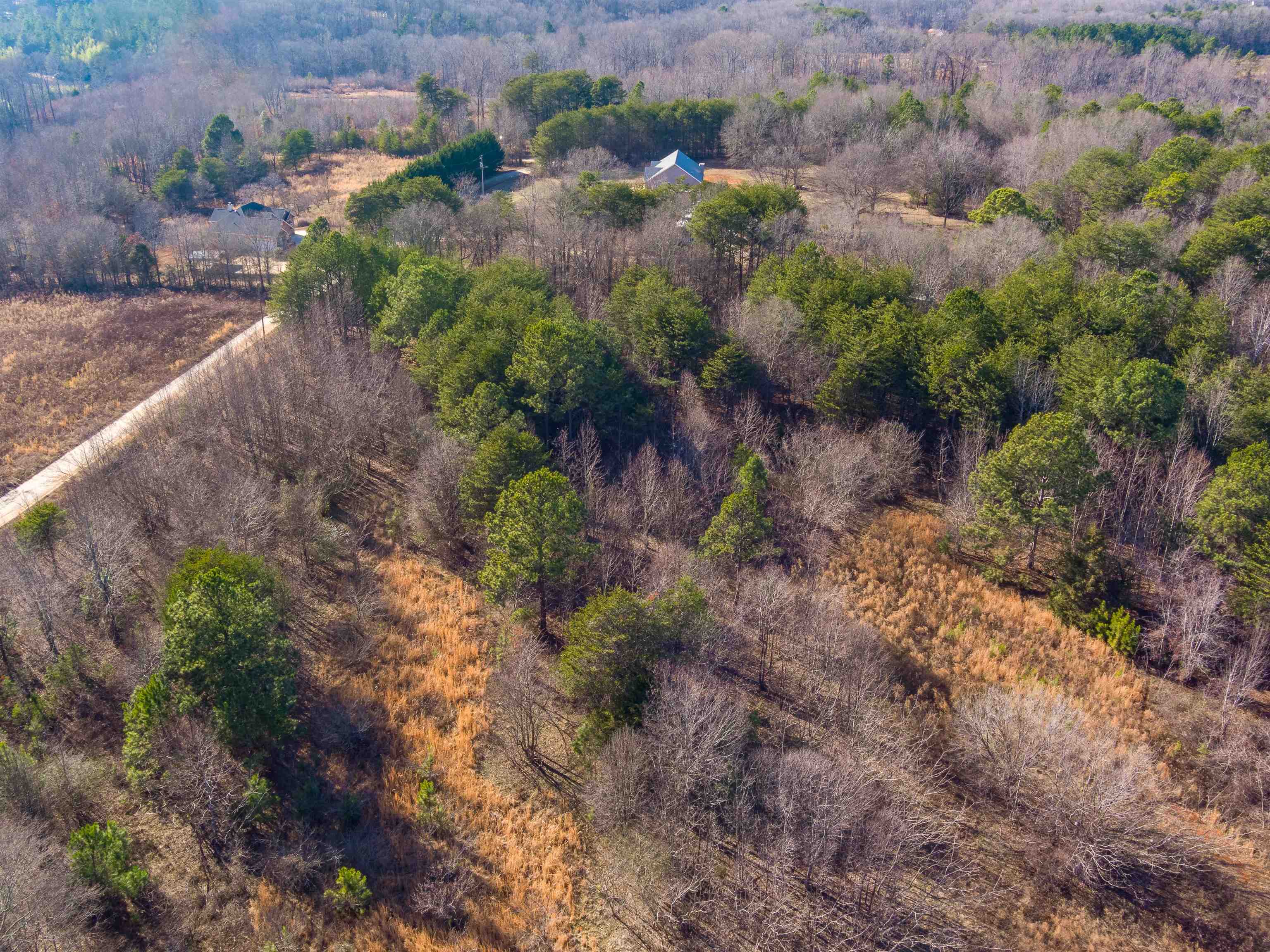 0 Half Moon Road Wellford, SC 29385 - Photo 11 of 14 Gallery Image 11