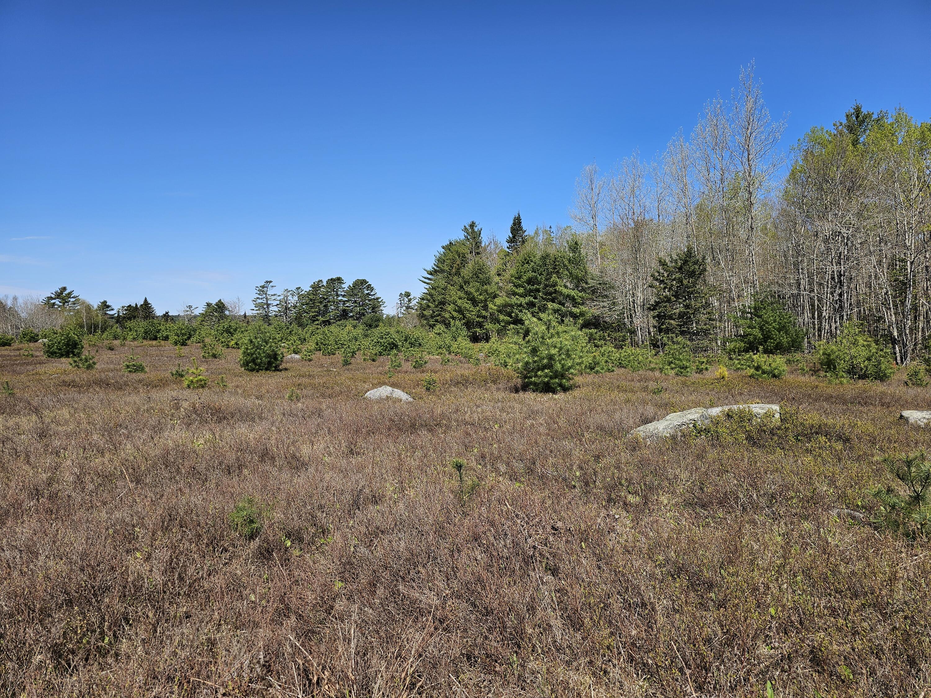 0 Georges Pond Road Franklin, ME 04634 - Photo 17 of 43 20250513_101307