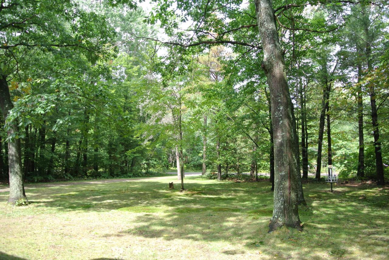 6695 Black Lake Road Lake Tomahawk, WI 54539 - Photo 36 of 46 Gallery Image 36