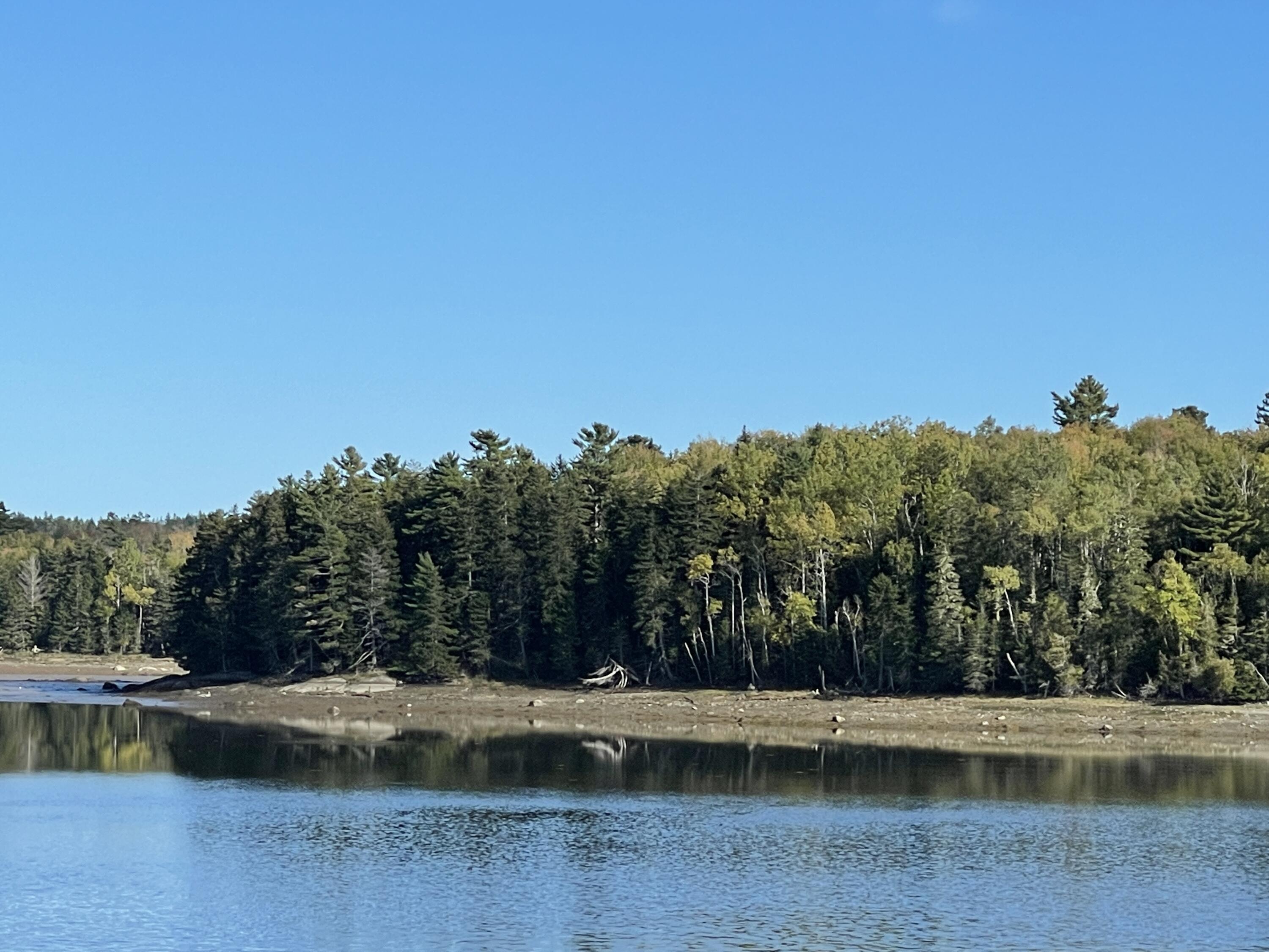 8 Dinsmore Road Lubec, ME 04652 - Photo 74 of 86 FBCE824B-F325-4A8D-B9EF-C7F7D7B61F9D