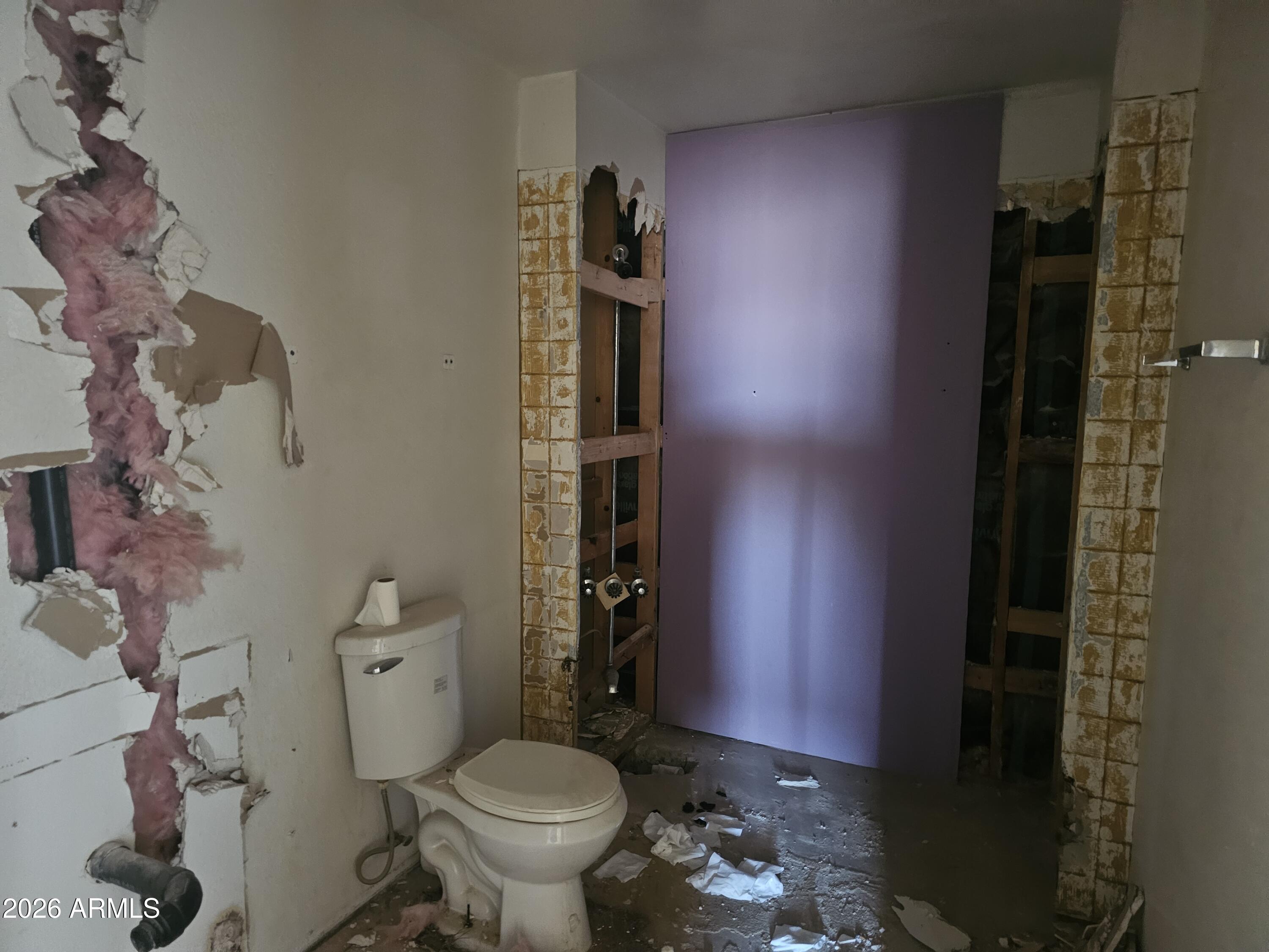 3613 North Papoose Road Casa Grande, AZ 85193 - Photo 16 of 19 a bathroom with a toilet and a shower
