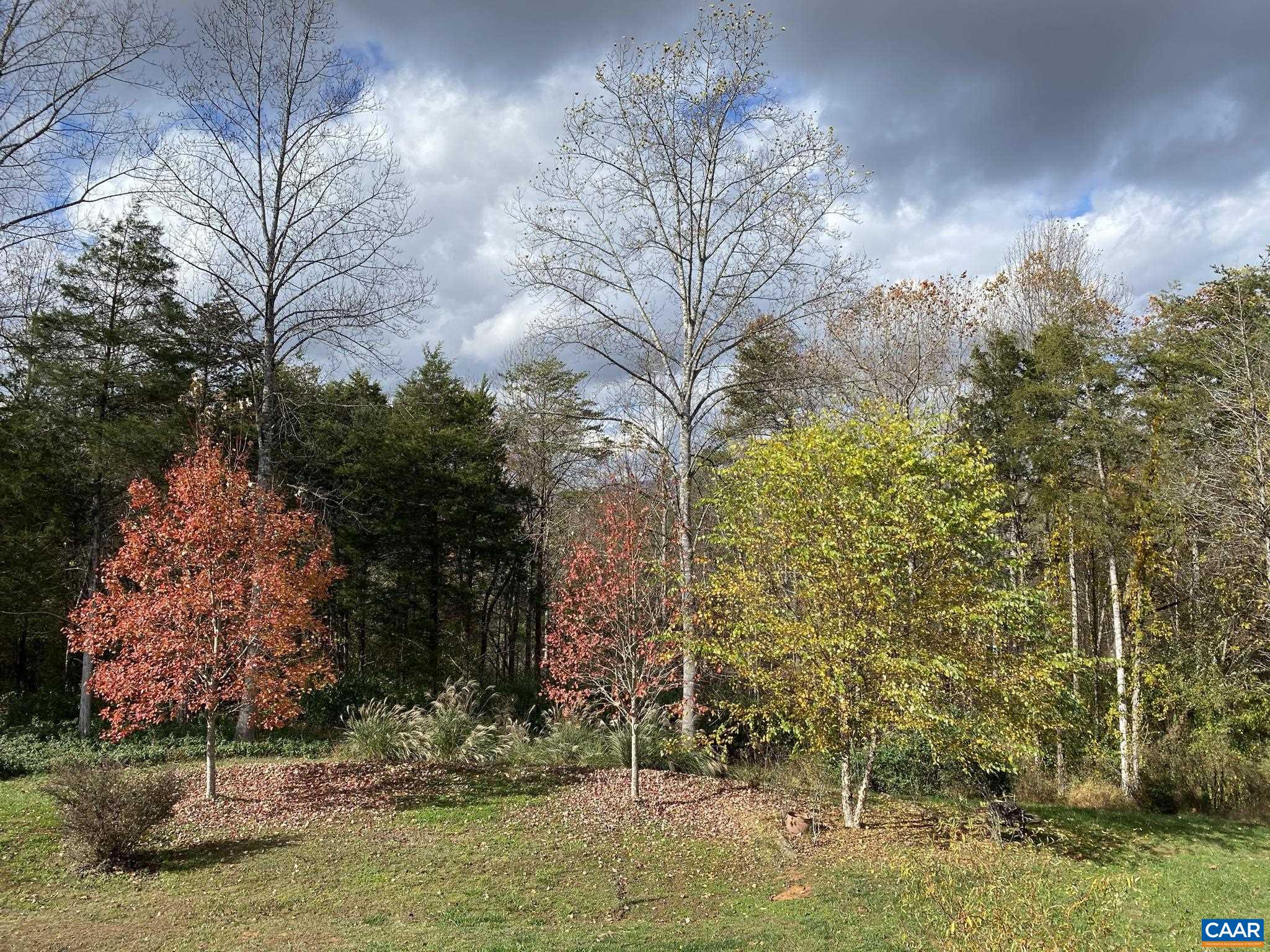 266 Ridgeview Drive Ruckersville, VA 22968 - Photo 19 of 20 a backyard of a house with lots of green space