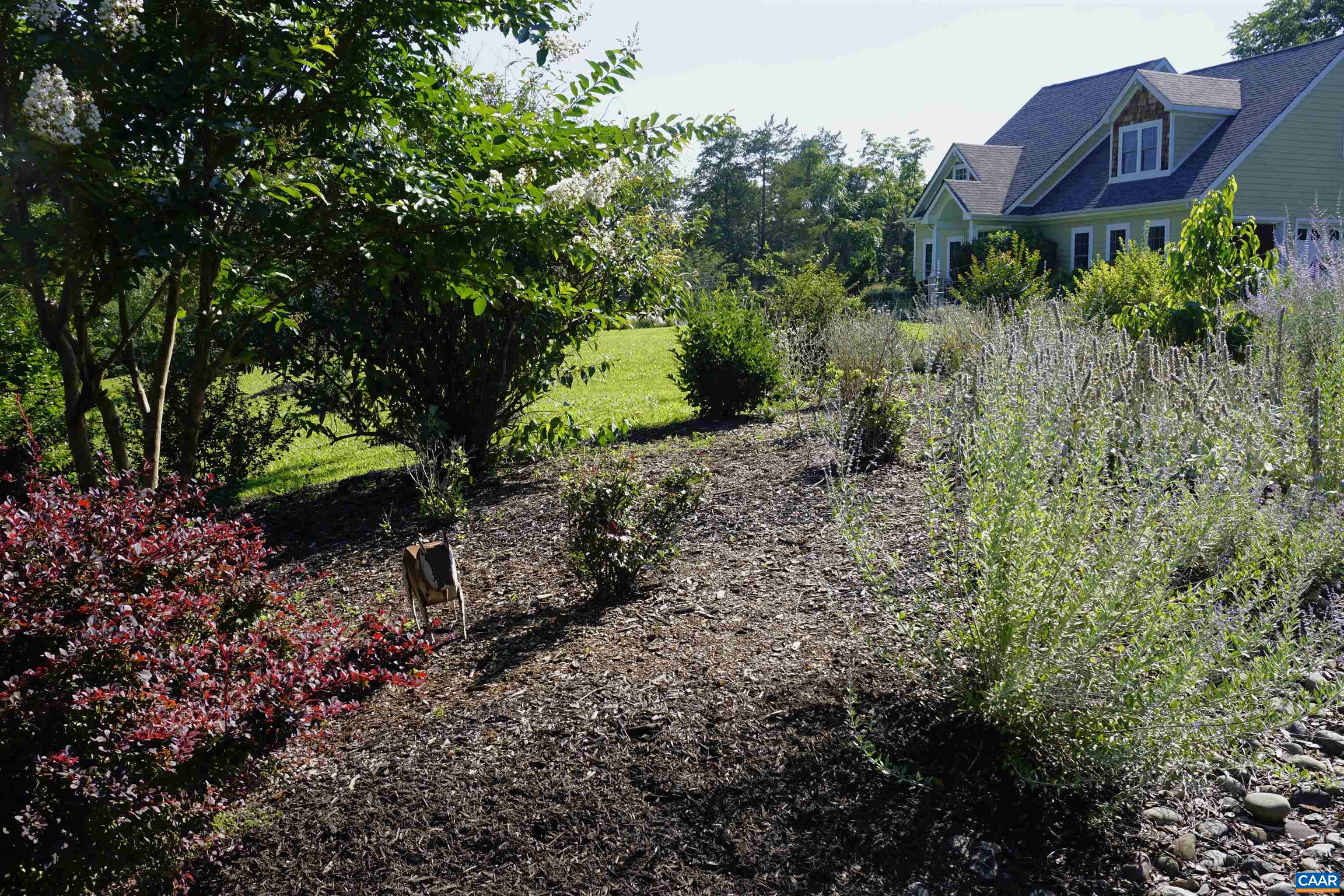 266 Ridgeview Drive Ruckersville, VA 22968 - Photo 4 of 20 a view of a back yard