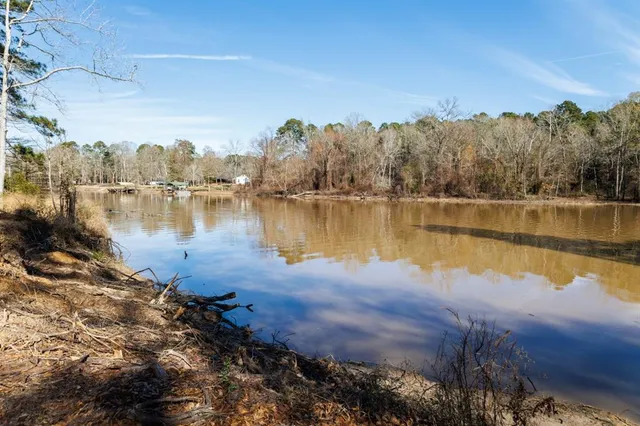 a view of a lake in middle of the forest