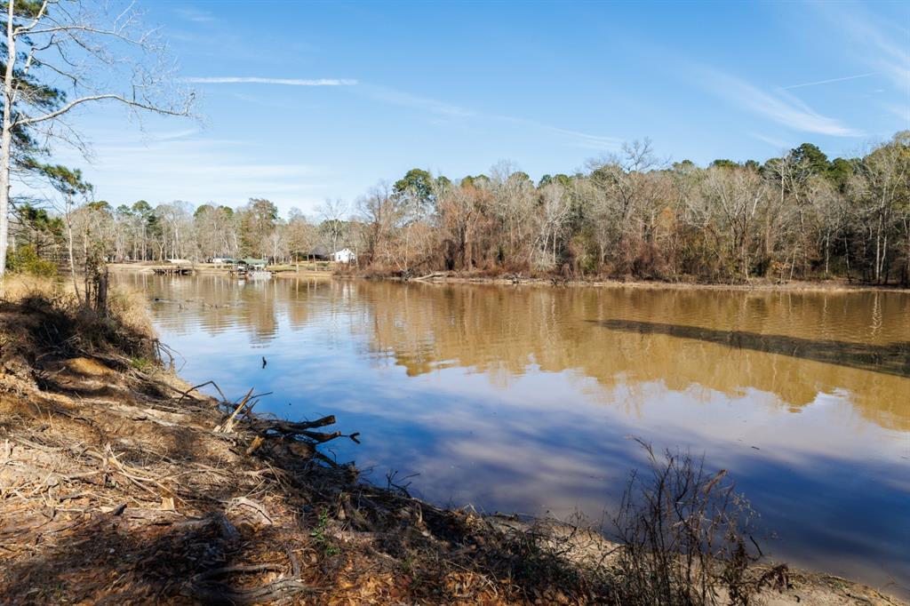 a view of a lake in middle of the forest
