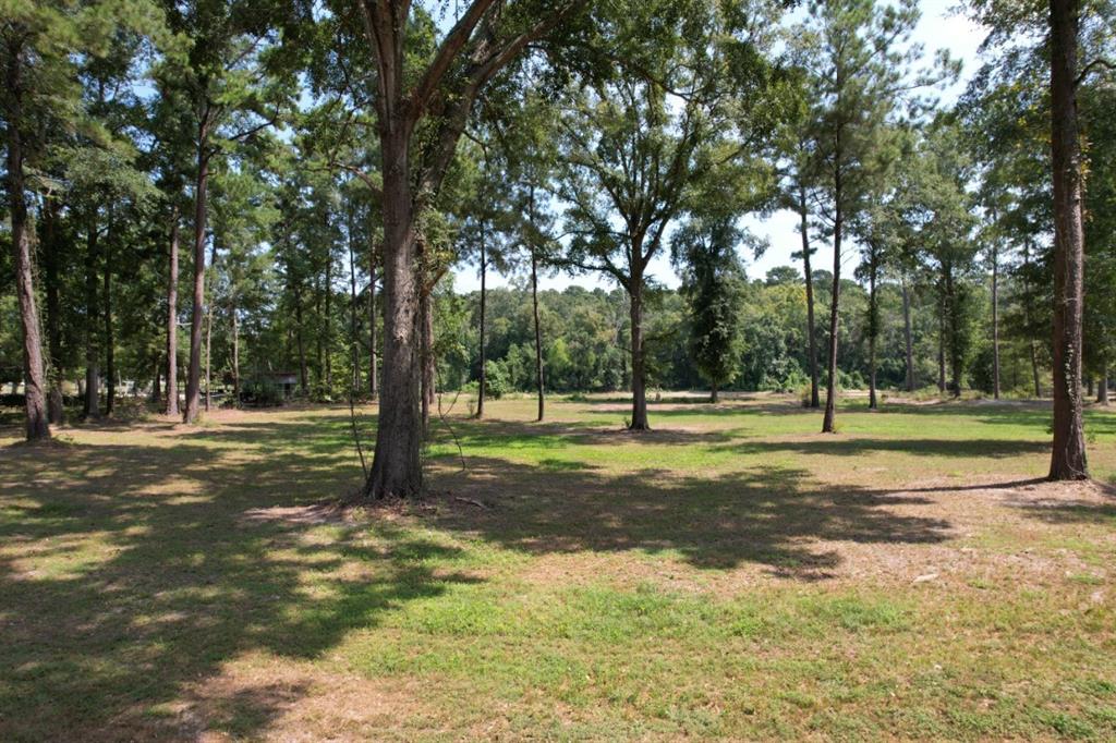 1 County Road 3545 Joaquin, TX 75954 - Photo 12 of 25 a view of a tree in a yard