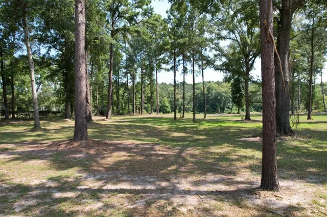 a view of a park with tree s