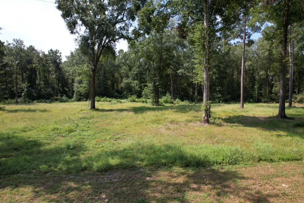 1 County Road 3545 Joaquin, TX 75954 - Photo 14 of 25 a view of a tree in a yard