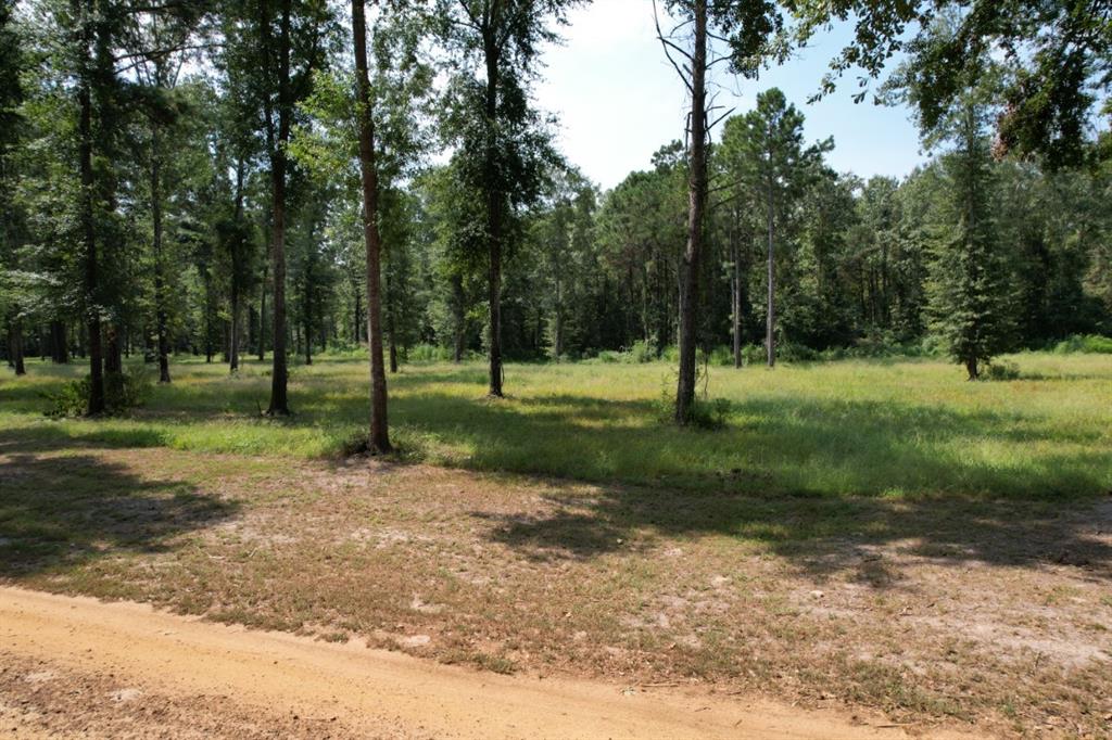 1 County Road 3545 Joaquin, TX 75954 - Photo 15 of 25 a view of a park with tree s