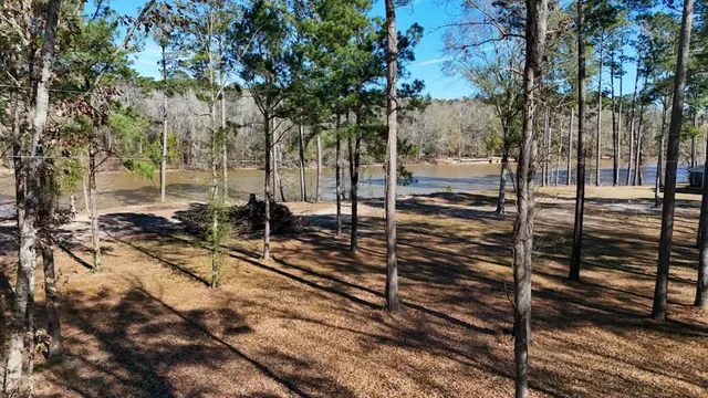 a view of a yard with street view