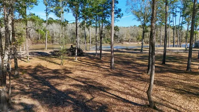 a view of a yard with street view
