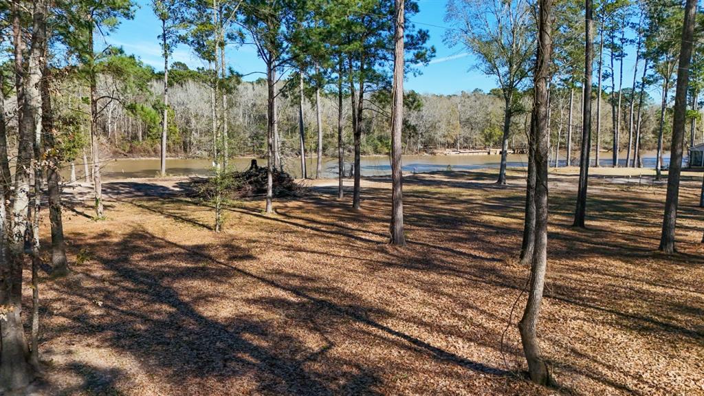 1 County Road 3545 Joaquin, TX 75954 - Photo 22 of 25 a view of a yard with street view