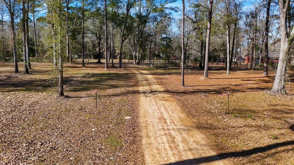 1 County Road 3545 Joaquin, TX 75954 - Photo 23 of 25 a view of a yard with trees