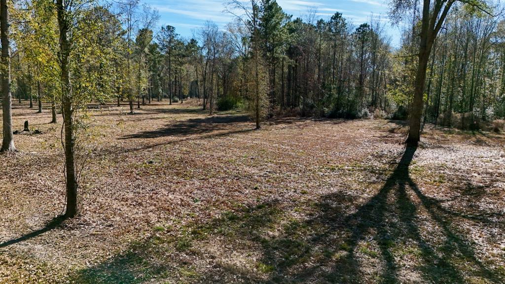 1 County Road 3545 Joaquin, TX 75954 - Photo 24 of 25 a view of outdoor space with trees