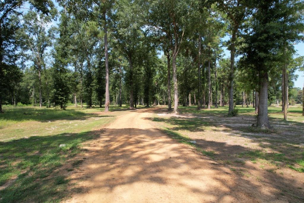 1 County Road 3545 Joaquin, TX 75954 - Photo 4 of 25 a view of outdoor space with trees all around
