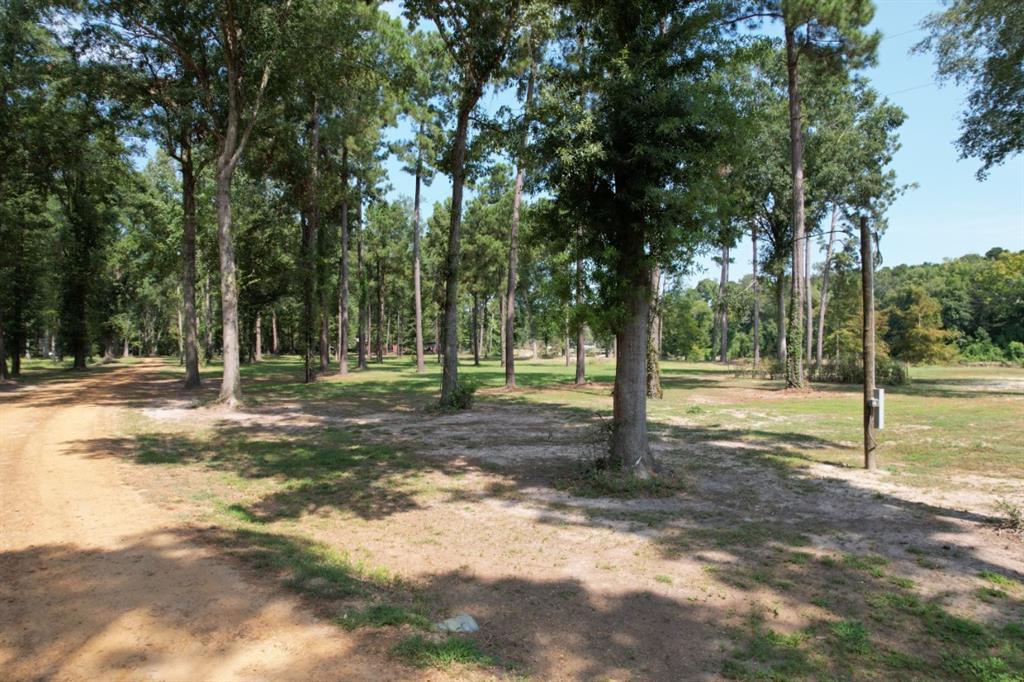 1 County Road 3545 Joaquin, TX 75954 - Photo 5 of 25 a view of outdoor space with trees