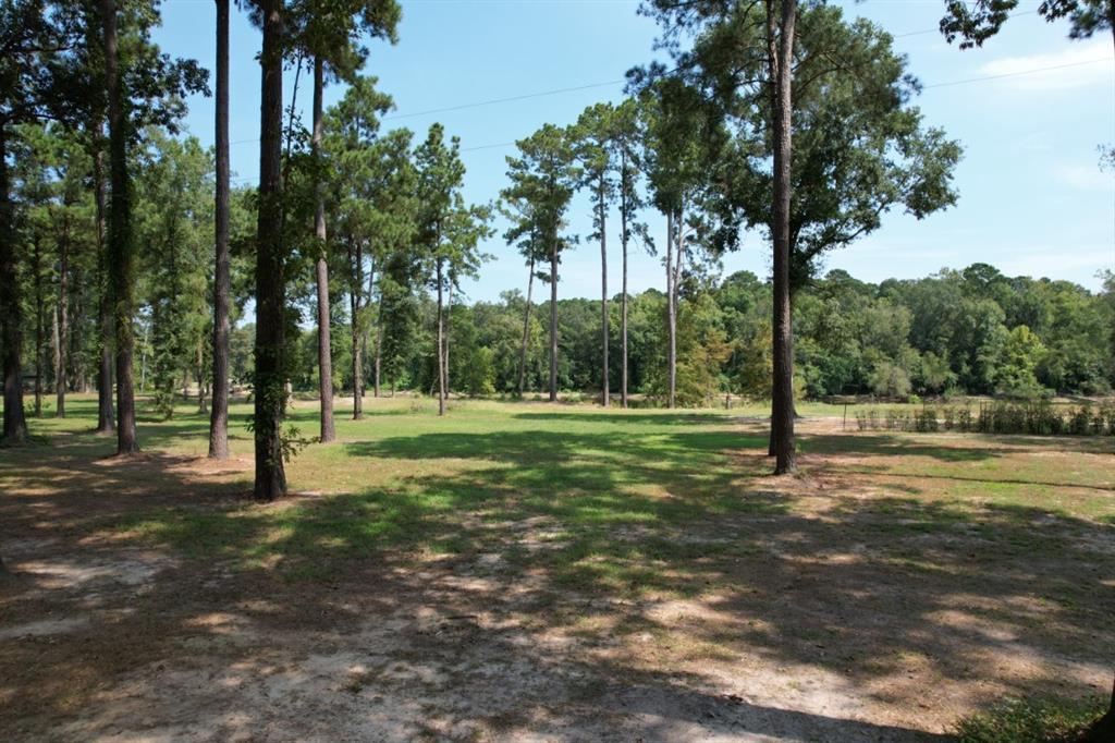 1 County Road 3545 Joaquin, TX 75954 - Photo 6 of 25 a view of a park with trees