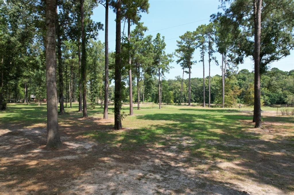 1 County Road 3545 Joaquin, TX 75954 - Photo 7 of 25 a view of a park with trees