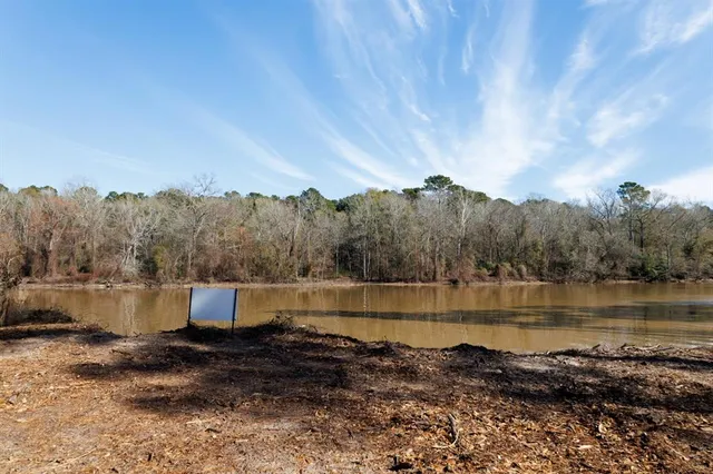 a view of a lake with a mountain in the background