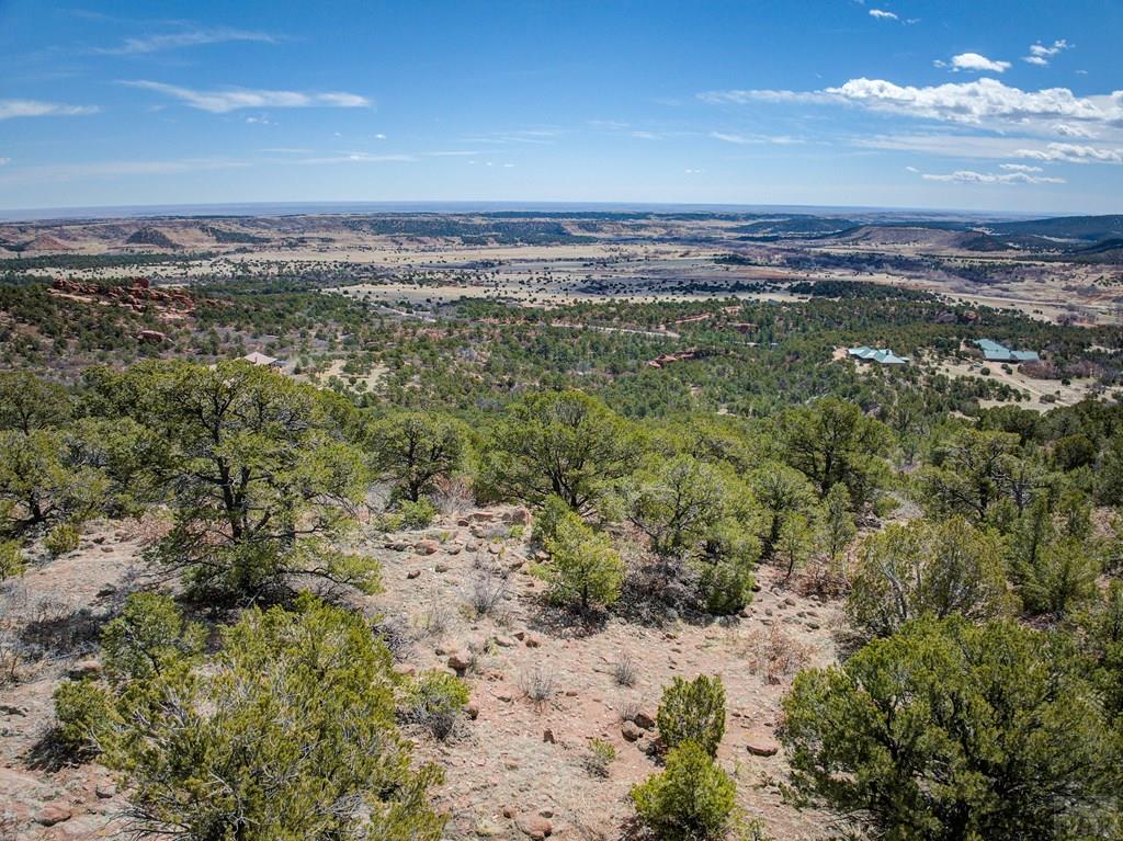 14430 Aiken Ride View Colorado Springs, CO 80926 - Photo 18 of 21