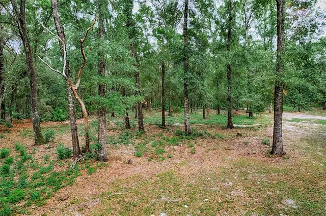 $339,000 | 7191 Northwest 154th Lane, Chiefland, FL 32626