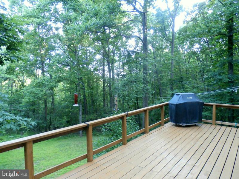 750 Nancy Jack Road Gerrardstown, WV 25420 - Photo 8 of 27 Exterior (Rear)