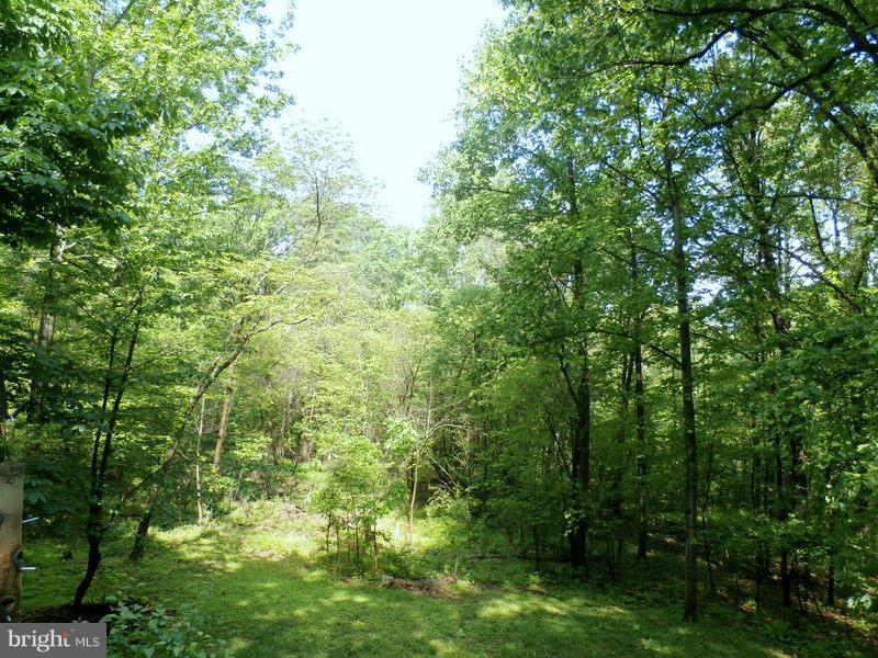 750 Nancy Jack Road Gerrardstown, WV 25420 - Photo 9 of 27 View
