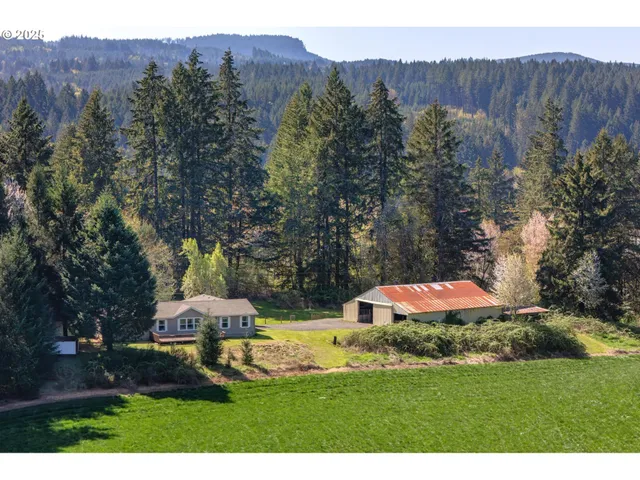 a view of a house with a yard and a forest