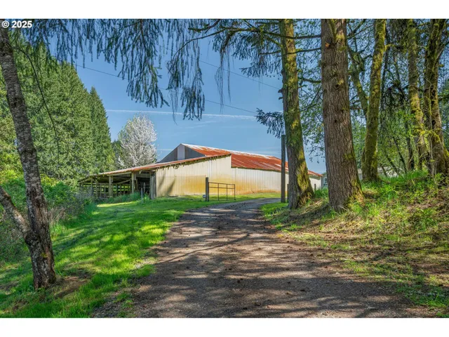 a view of a backyard