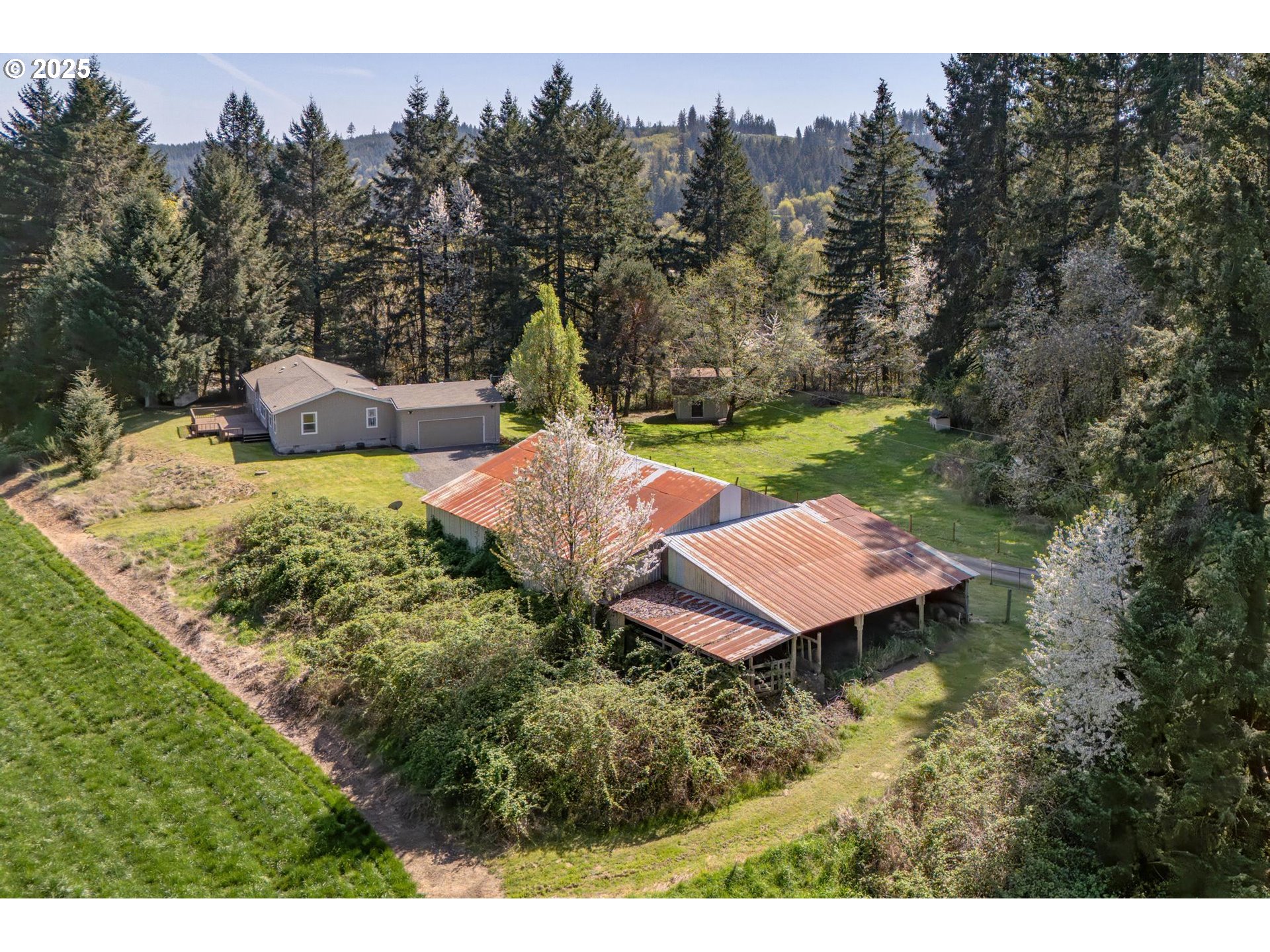 20270 Northwest Pihl Road Banks, OR 97106 - Photo 34 of 43 a view of a backyard with potted plants and large trees
