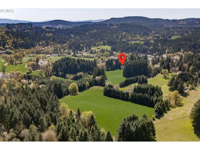 a view of outdoor space and yard