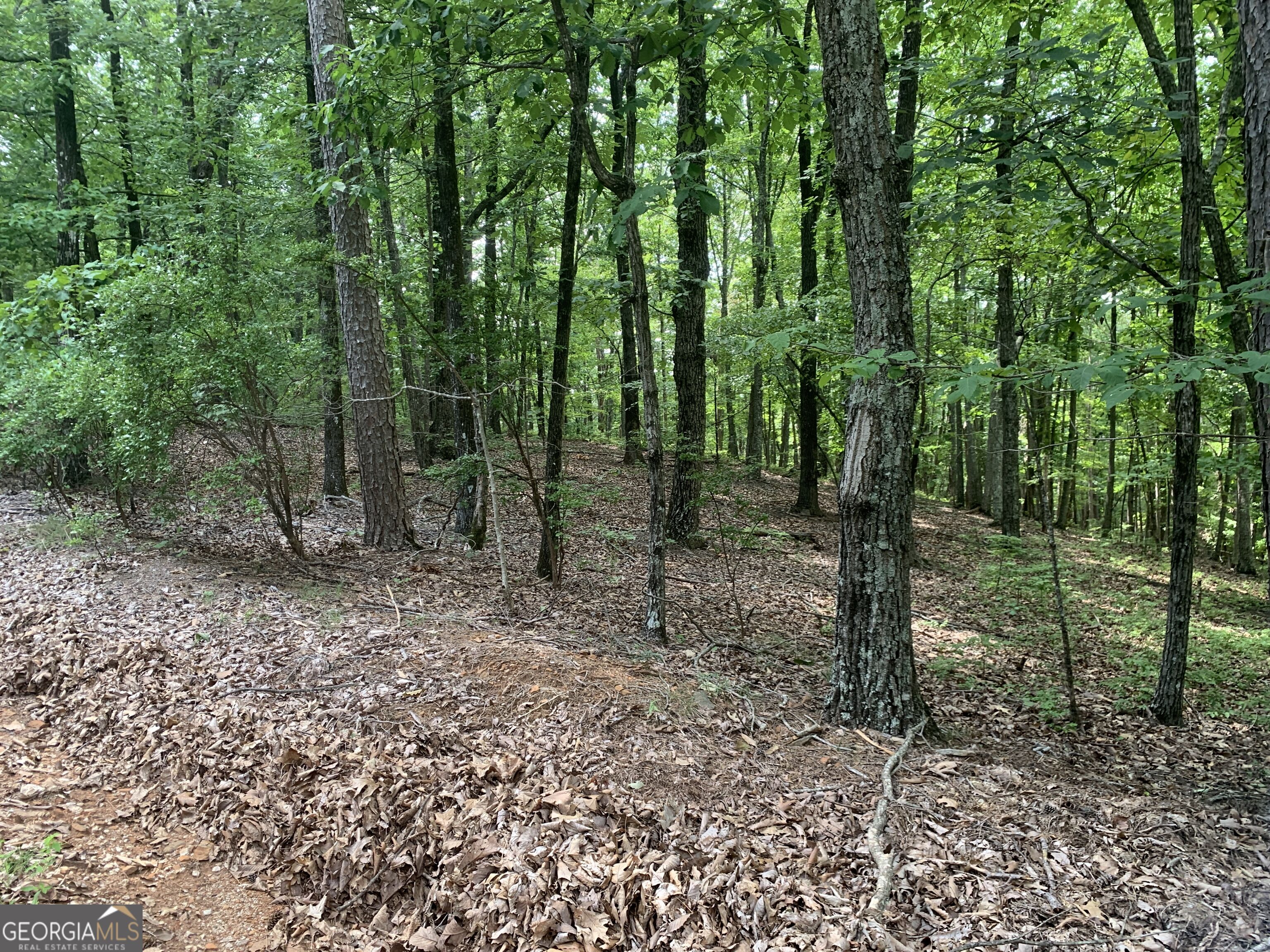 0 Grant Smith Summit Ridge Etc Toccoa, GA 30577 - Photo 13 of 28 Gallery Image 13