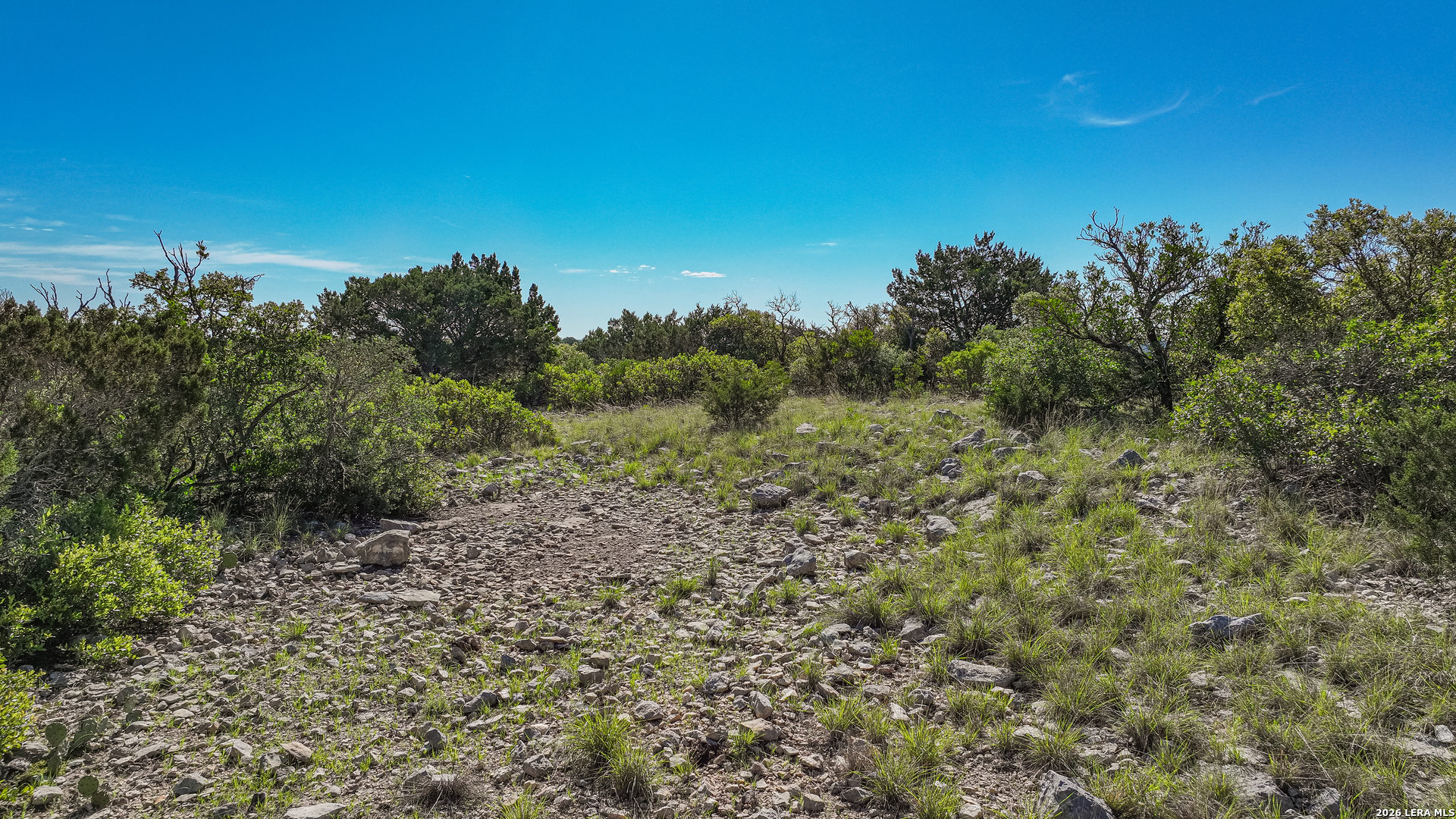 0 Deer Canyons Ranch Rocksprings, TX 78880 - Photo 12 of 39